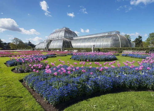 云南花卉業 以荷蘭為師，構筑亞洲花都新愿景